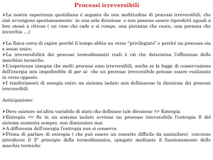 Q - Macroarea di Scienze