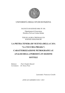 Documento PDF (Tesi triennale)