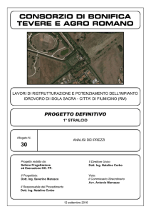 Analisi prezzi Isola Sacra - Consorzio di Bonifica Tevere e Agro