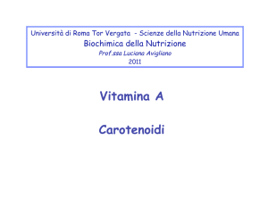 Vitamina A Carotenoidi