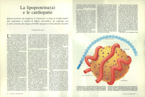 La lipoproteina (a) e le cardiopatie