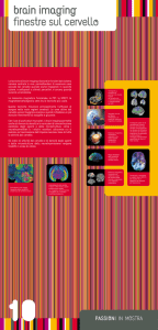 Le tecniche di brain imaging rilevano le funzioni del