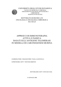 APPROCCI DI IMMUNOTERAPIA ATTIVA E PASSIVA BASATI SULL