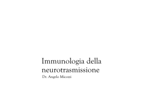 Immunologia della neurotrasmissione