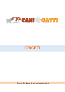 Criceti - Cibocanigatti.it