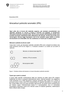 Idrocarburi policiclici aromatici (IPA)