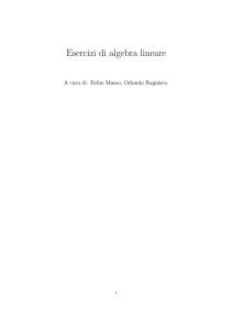 Esercizi di algebra lineare