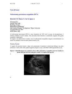 Caso del mese Nefrostomia percutanea ecoguidata (PCN)