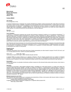 Monoclonal Mouse Anti-Human Tyrosinase Clone: T311