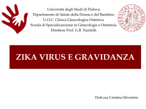 Zika Virus e Gravidanza-2016