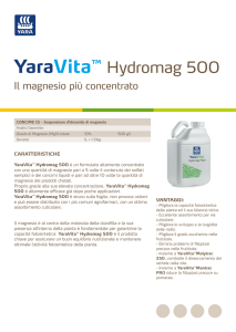 YaraVita™ Hydromag 500