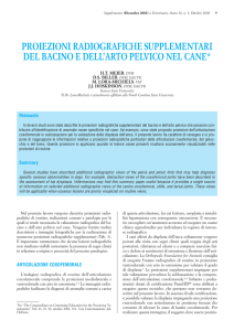 proiezioni radiografiche supplementari del bacino e