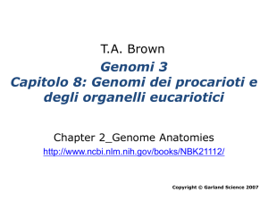 Genoma dei procarioti e degli organelli