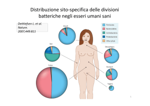 Distribuzione sito-specifica delle divisioni batteriche negli esseri