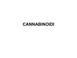 cannabinoidi-allucinogeni