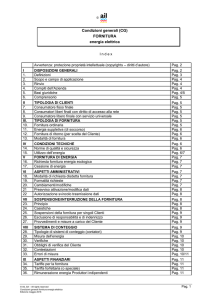 CG fornitura energia elettrica_Ed. 2012
