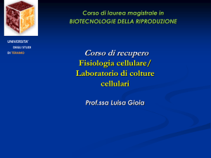 LEZa recupero fis cell colt cell prof Gioia - Progetto e