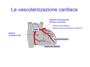 La vascolarizzazione cardiaca - Università degli studi di Bergamo