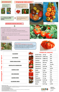 Infografica-biodiversità-pomodoro