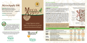 MycoApply DR sviluppo radici e miglioramento resistenza e