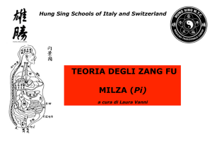 Milza Zang in MTC
