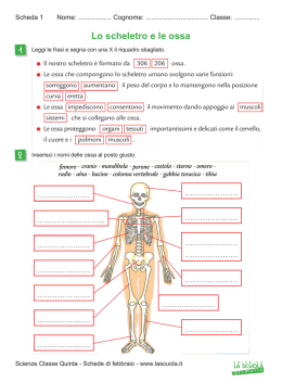 Verifica: Cellula E Sistema Scheletrico 2 - Digilander