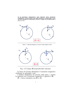 Fig. 5.3 Campo B perpendicolare entrante La forza di Lorentz