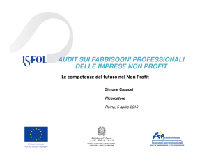 audit sui fabbisogni professionali delle imprese non profit