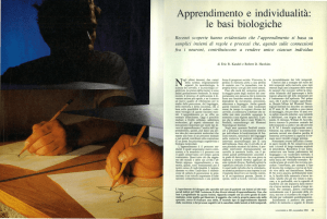 Apprendimento e individualit&agrave;: le basi biologiche