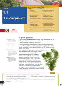 I microrganismi - Mondadori Education