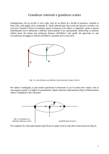 Grandezze vettoriali e grandezze scalari