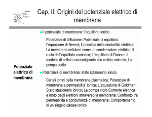 e - Ingegneria elettrica ed elettronica