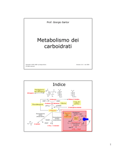Metabolismo dei carboidrati