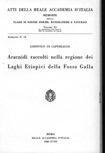 -Aracnidi raccolti nella regione dei Laghi Etìopici della Fossa Galla