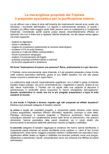 Le meravigliose proprietà del Triphala il preparato ayurvedico per la