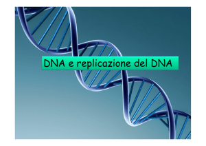 DNA e replicazione del DNA
