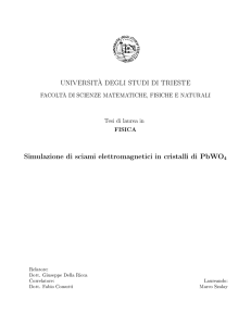 Simulazione di sciami elettromagnetici in cristalli di PbWO4