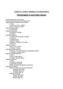 Fis 1a1s Anatomia Umana Pirino 2005