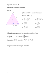 1 Pagina 107 esercizio 18 Applicazione al triangolo equilatero