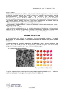 Leggi il documento - Laboratorio San Giorgio