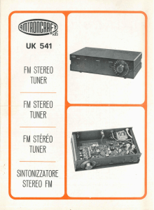 Amtron UK541 - Sintonizzatore stereo FM