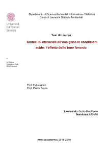 Tesi di Laurea Sintesi di eterocicli all`ossigeno in condizioni acide: l