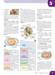 scienze