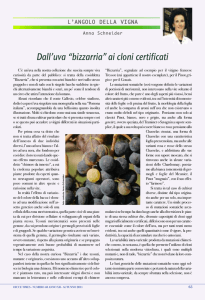 Dall`uva bizzarria ai cloni certificati