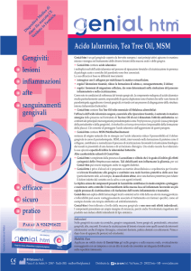 Acido Ialuronico, Tea Tree Oil, MSM Gengiviti