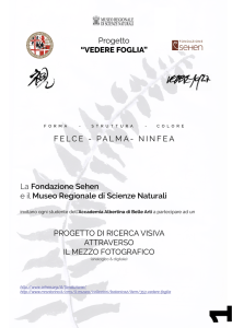 grafica sehen - Accademia Albertina