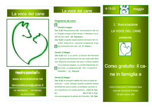 Brochure - Volontariato Lazio