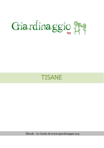 Tisane - Giardinaggio.org