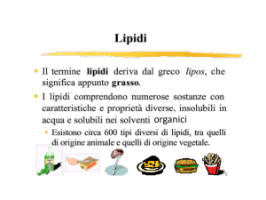 Lezione LIPIDI 1° PARTE