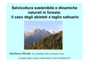 Selvicoltura sostenibile e dinamiche naturali in foresta